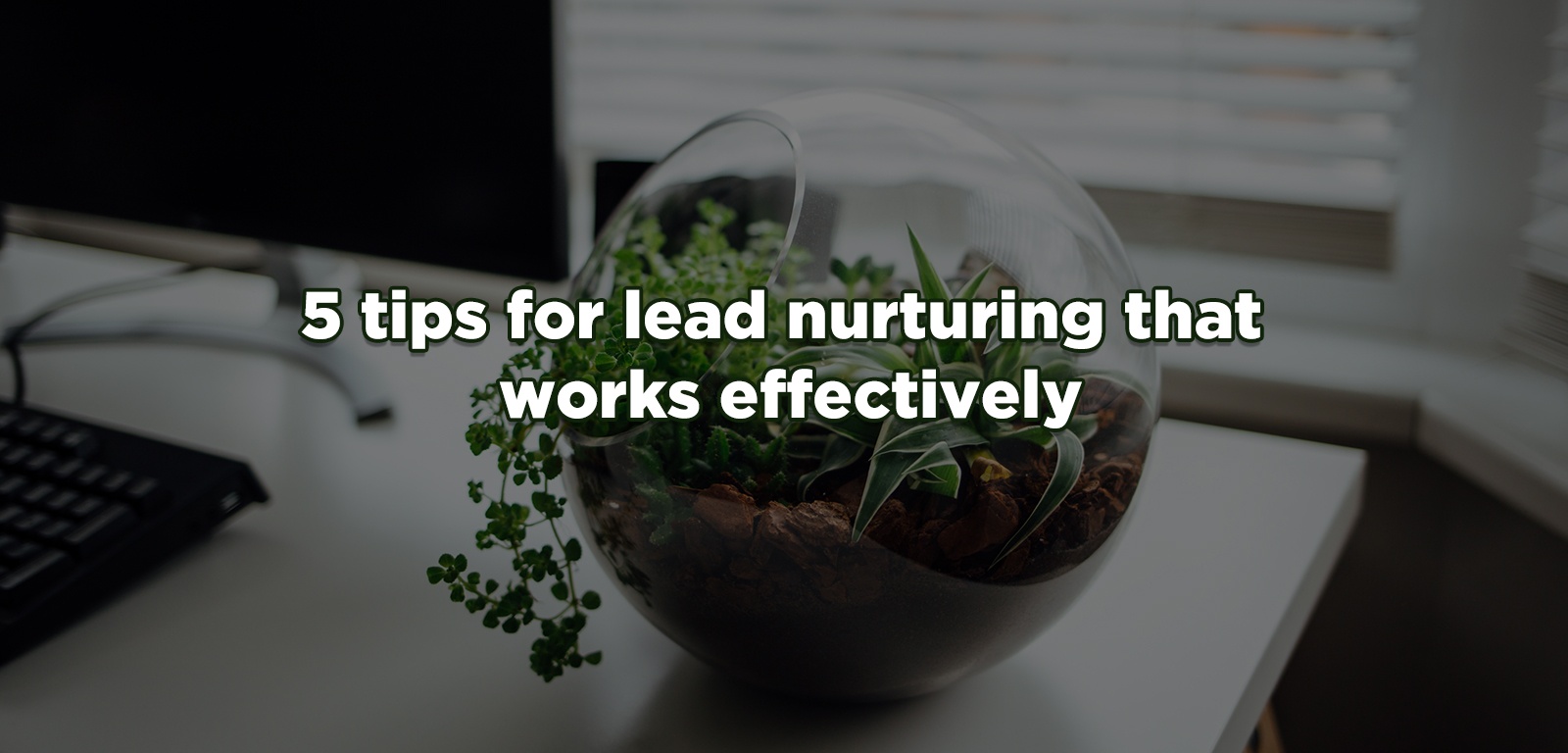 5 tips for lead nurturing that works effectively