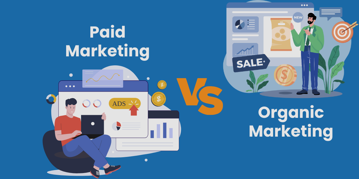 Paid and Organic Marketing: Which Is Better?